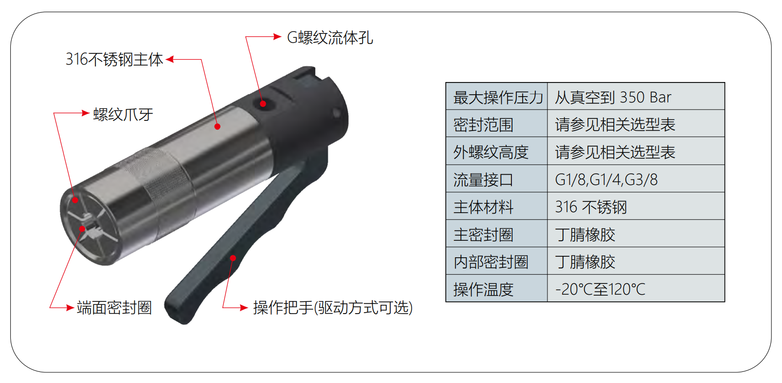 G85系列高压外螺纹密封测试接头